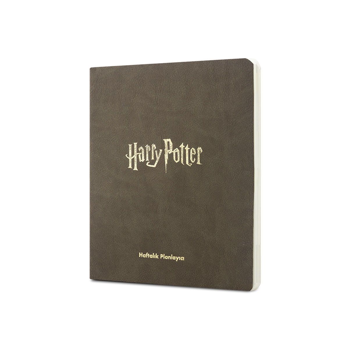 Harry Potter Özel Günler Hediye Seti