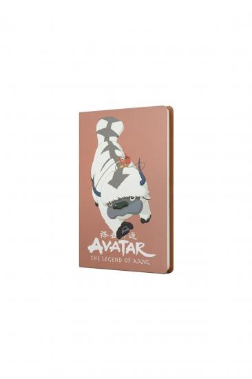 Mabbels Avatar Appa Ve Aang Sert Kapak Butik Defter Puce Rengi